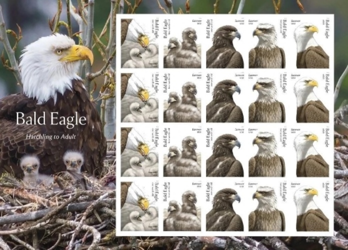 Scott 6082-6086 Forever Sheet of 20, Bald Eagles